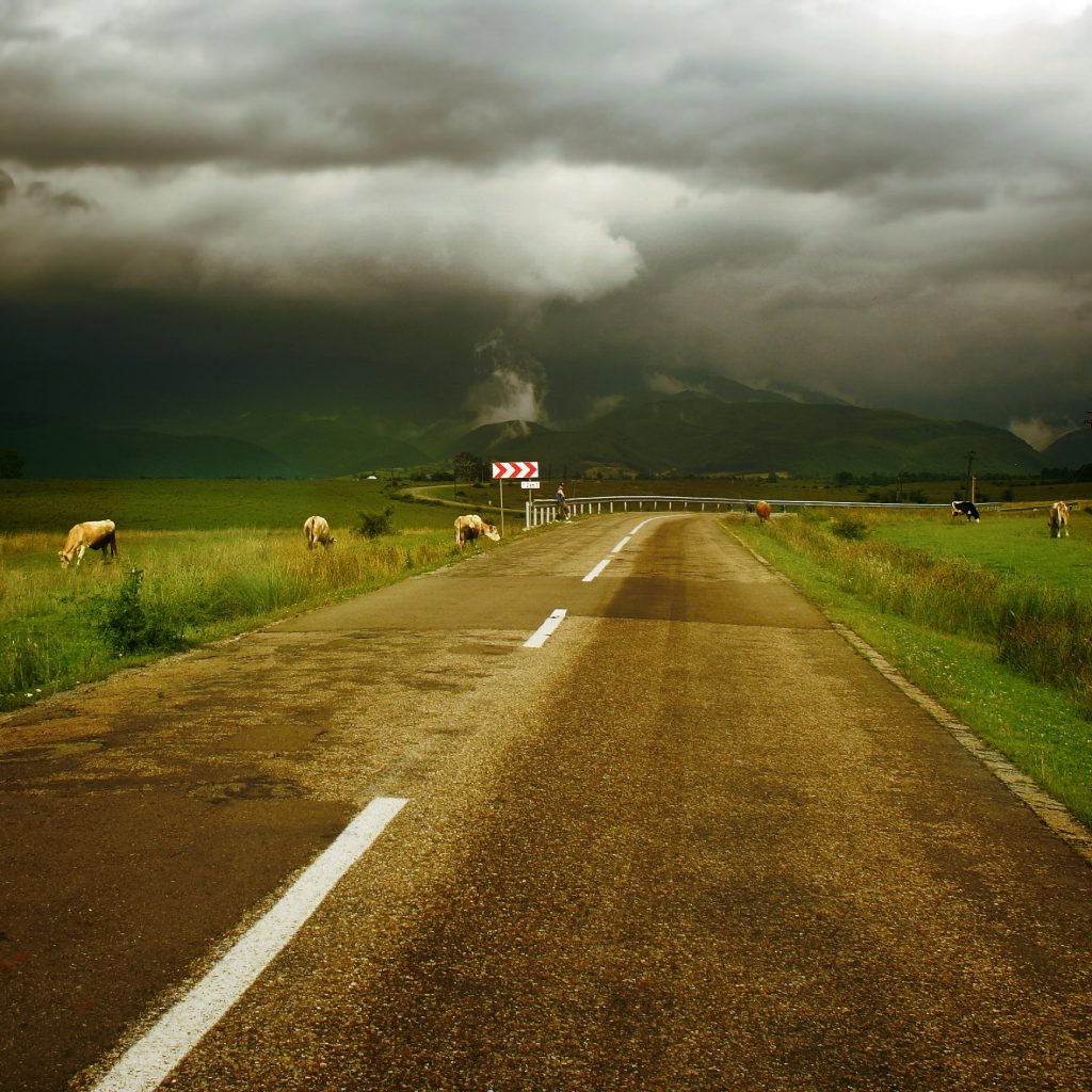 The Road of Life