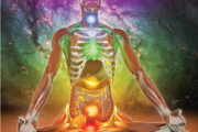 The Science behind Chakras